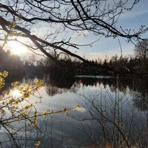 Activités Ribouldingad